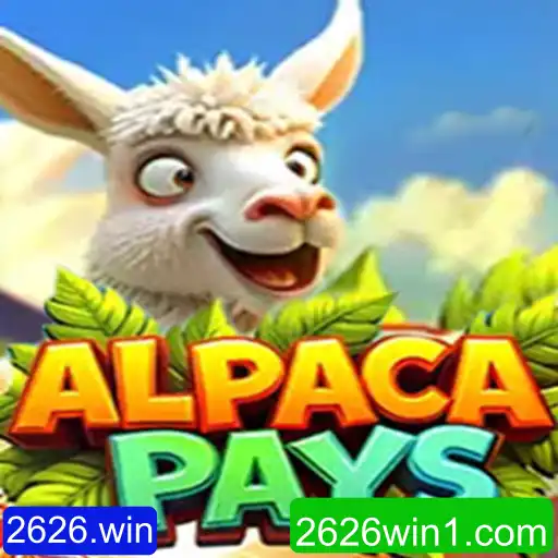 Explorando o Mundo de AlpacaPays e o Universo de 2626.win